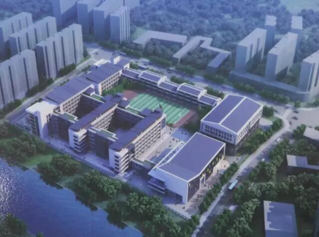 摩登7官方网站图片